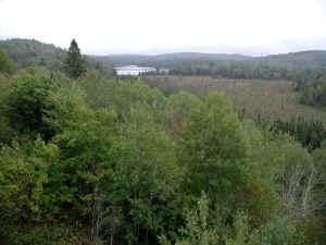 AlgonquinPark.JPG (91411 bytes)