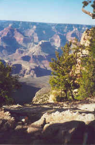 Grand Canyon - wandeling langs bovenrand