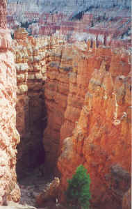 Kloof van Bryce Canyon