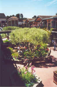 Carmel Plaza