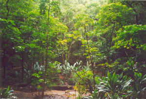 Uitzicht vanaf Fern Grotto