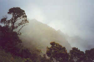 Kalalau lookout van Waimea Canyon